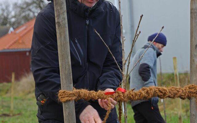 Anpflanzung weiterer alter Obstsorten