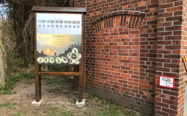 Über QR-Code lassen sich die Vogelstimmen anhören