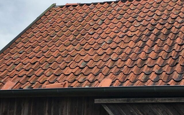 Schaden durch Windboe im August