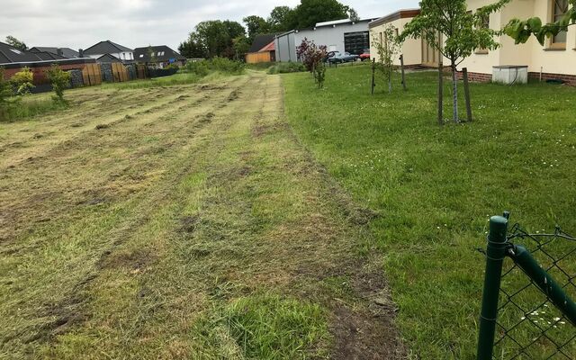 Im Mai erfolgt die maschinelle Vorbereitung der großen Fläche hinter 