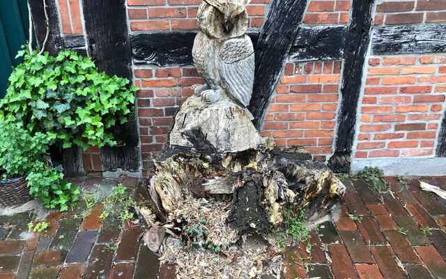 05 Unsere Kastanienholzeule zerfällt