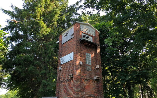 05 Eine Eule verlässt den Brutkasten im Eulenturm