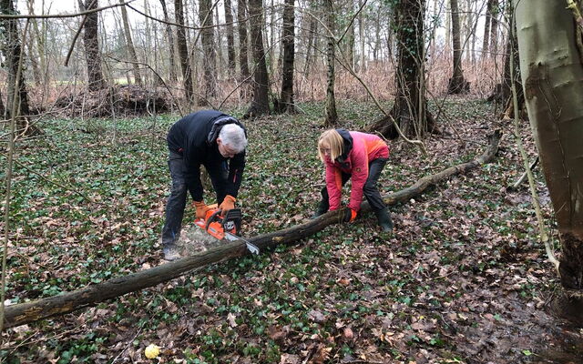 02 Jens und Jutta bei der Waldarbeit
