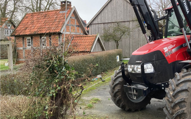 Im Januar reissen Hasso und Hermann die Weissdornhecke am Parkplatz heraus